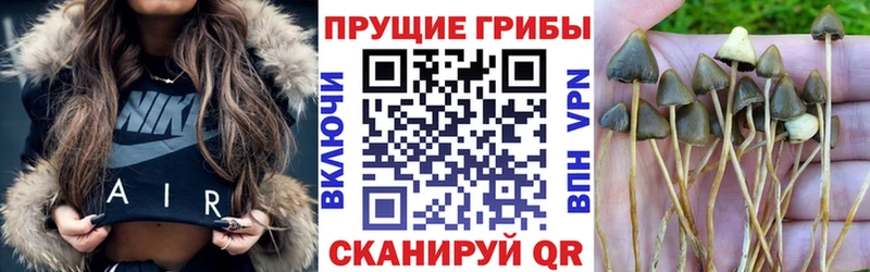 Купить  Стрежевой  Псилоцибиновые грибы Cubensis 